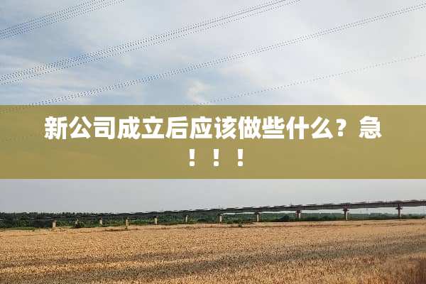 新公司成立后应该做些什么？急！！！