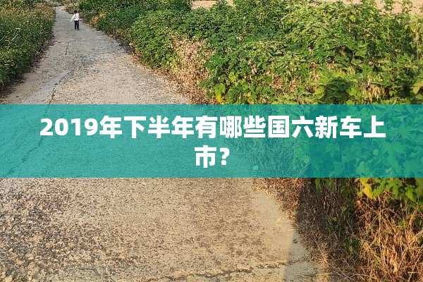 2019年下半年有哪些国六新车上市？