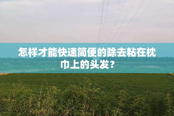 怎样才能快速简便的除去粘在枕巾上的头发？