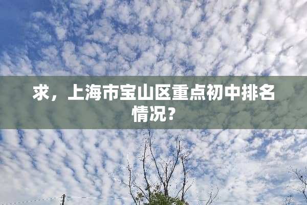 求，上海市宝山区重点初中排名情况？