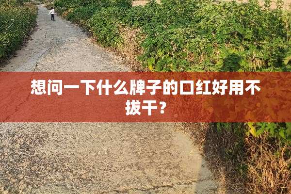想问一下什么牌子的口红好用不拔干？