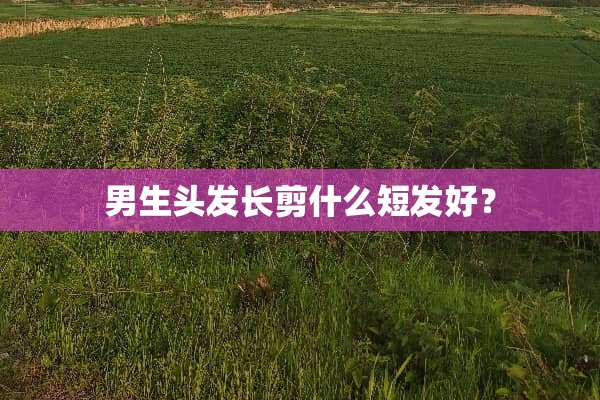 男生头发长剪什么短发好？
