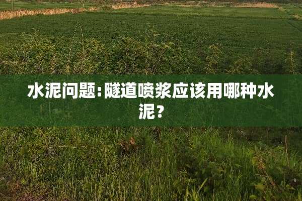 水泥问题:隧道喷浆应该用哪种水泥？