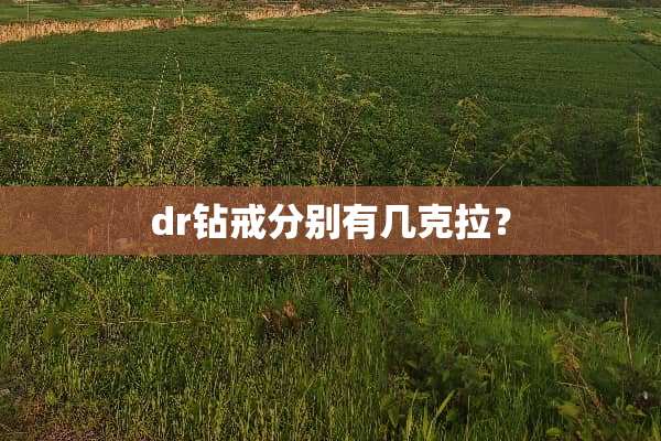 dr钻戒分别有几克拉？