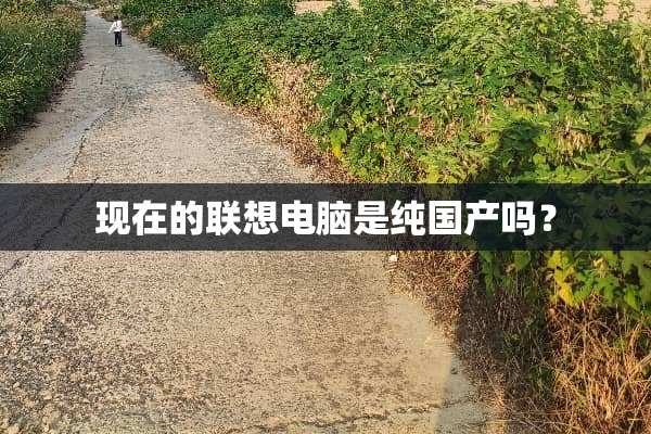 现在的联想电脑是纯国产吗？