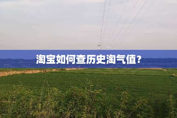 淘宝如何查历史淘气值？