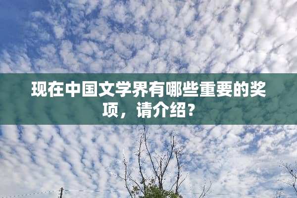现在中国文学界有哪些重要的奖项，请介绍？