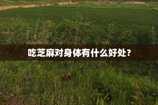 吃芝麻对身体有什么好处？