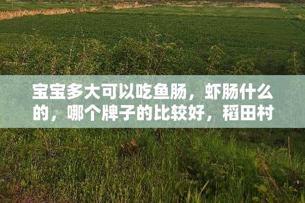 宝宝多大可以吃鱼肠，虾肠什么的，哪个牌子的比较好，稻田村和贝比玛玛、伊威哪个好？