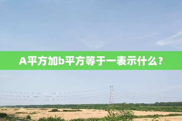 A平方加b平方等于一表示什么？