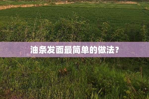 油条发面最简单的做法？
