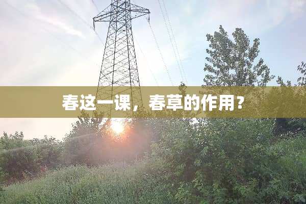 春这一课，春草的作用？