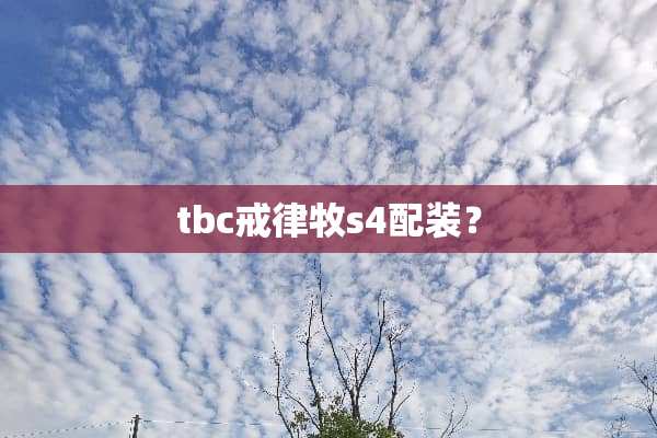 tbc戒律牧s4配装？