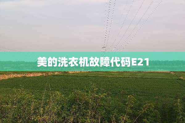 美的洗衣机故障代码E21