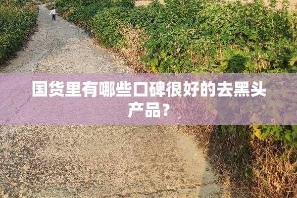 国货里有哪些口碑很好的去黑头产品？