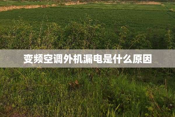 变频空调外机漏电是什么原因