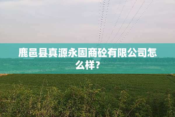 鹿邑县真源永固商砼有限公司怎么样？