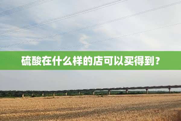 硫酸在什么样的店可以买得到？