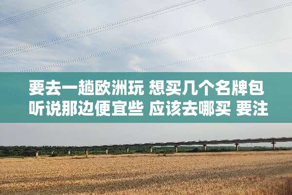 要去一趟欧洲玩 想买几个名牌包 听说那边便宜些 应该去哪买 要注意些什么 谢谢