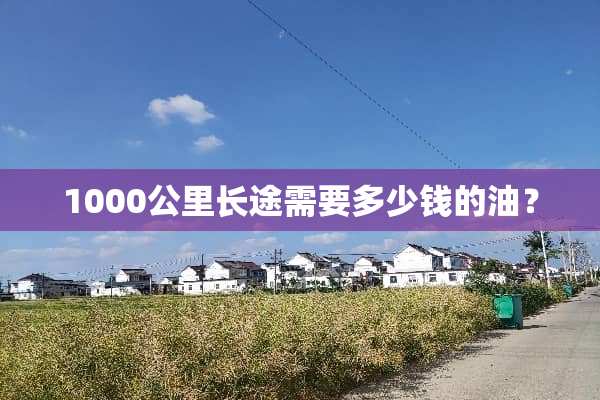 1000公里长途需要多少钱的油？