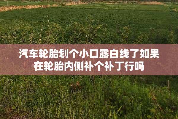 汽车轮胎划个小口露白线了如果在轮胎内侧补个补丁行吗