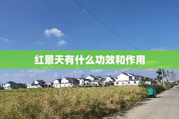 红景天有什么功效和作用