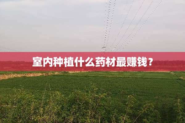 室内种植什么药材最赚钱？