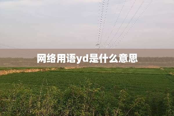 网络用语yd是什么意思