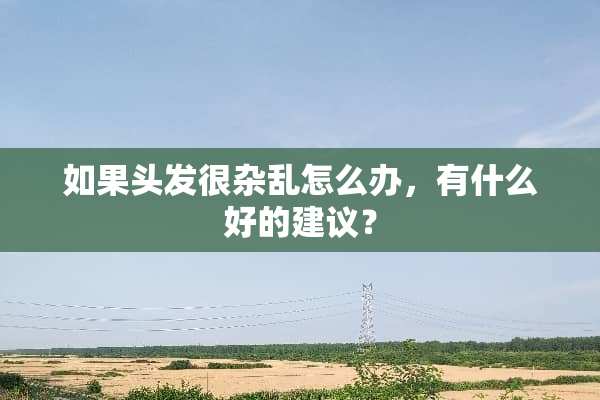 如果头发很杂乱怎么办，有什么好的建议？