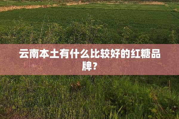 云南本土有什么比较好的红糖品牌？