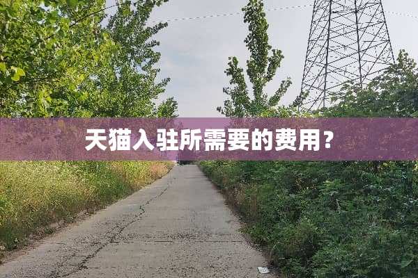 天猫入驻所需要的费用？