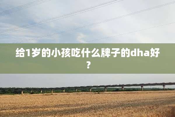 给1岁的小孩吃什么牌子的dha好？