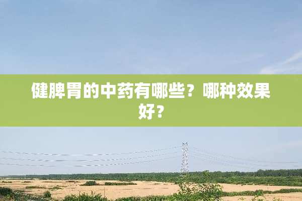健脾胃的中药有哪些？哪种效果好？