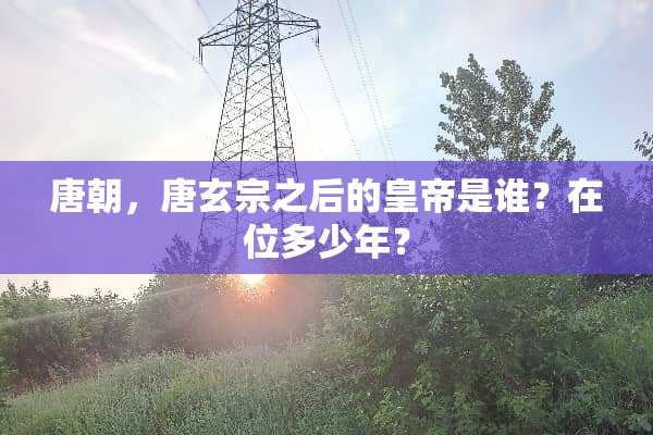 唐朝，唐玄宗之后的皇帝是谁？在位多少年？