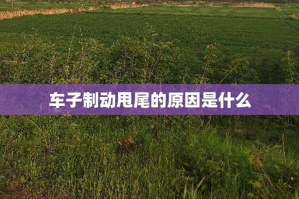 车子制动甩尾的原因是什么