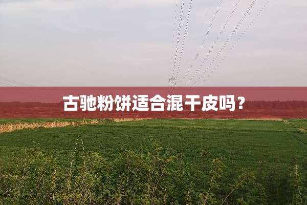 古驰粉饼适合混干皮吗？