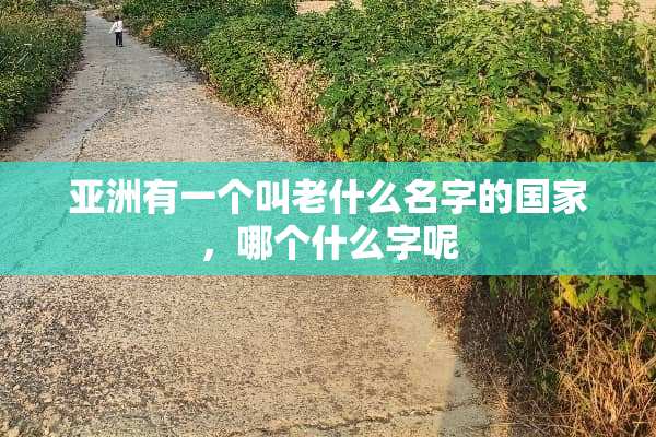 亚洲有一个叫老什么名字的国家，哪个什么字呢