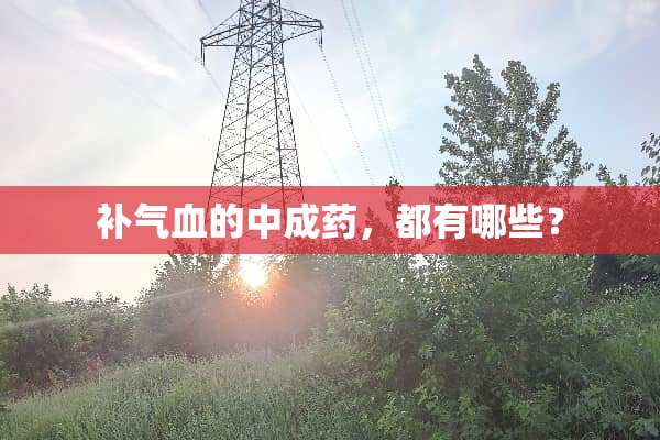 补气血的中成药，都有哪些？