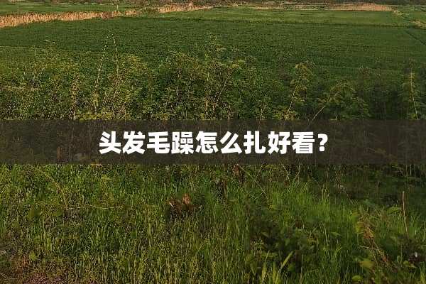 头发毛躁怎么扎好看？