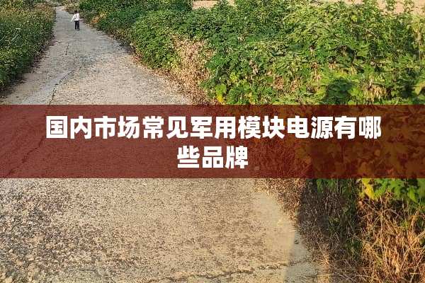 国内市场常见**模块电源有哪些品牌