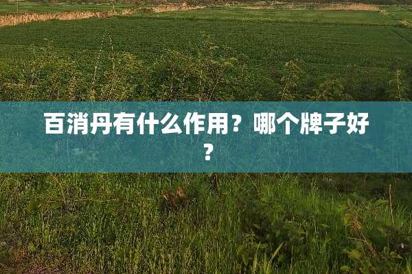 百消丹有什么作用？哪个牌子好？
