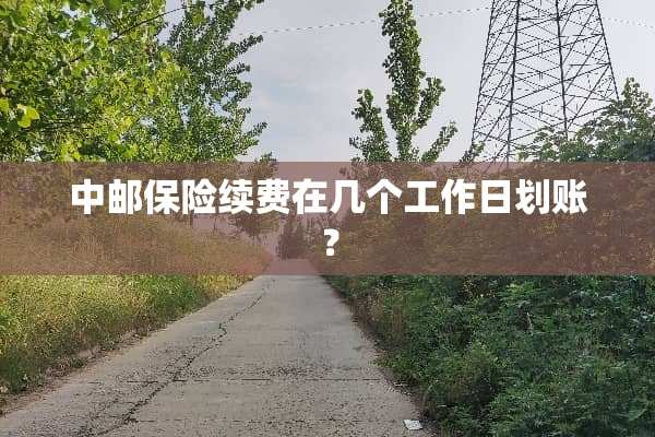 中邮保险续费在几个工作日划账？