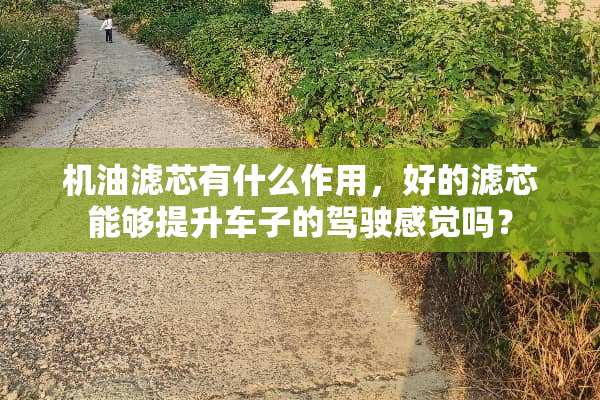 机油滤芯有什么作用，好的滤芯能够提升车子的驾驶感觉吗？