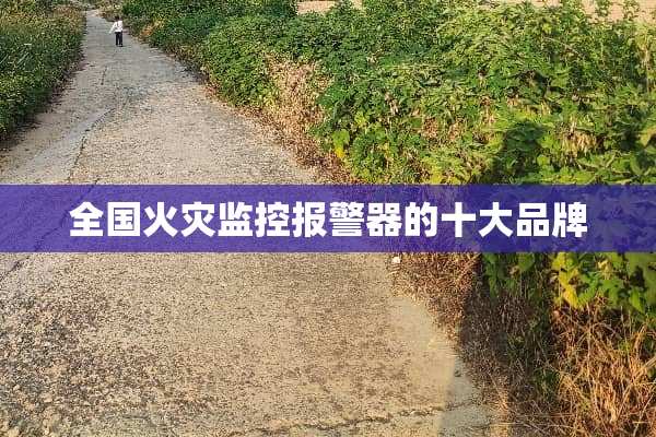全国火灾监控报警器的十大品牌