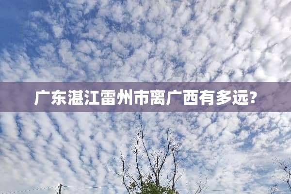 广东湛江雷州市离广西有多远？