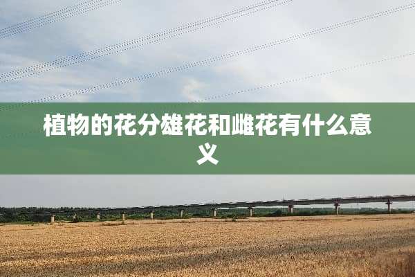 植物的花分雄花和雌花有什么意义