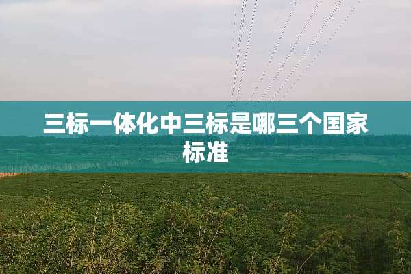 三标一体化中三标是哪三个国家标准