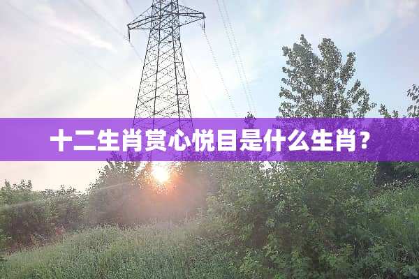十二生肖赏心悦目是什么生肖？
