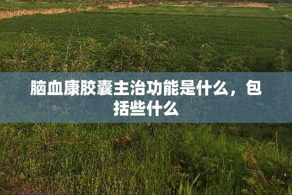 脑血康胶囊主治功能是什么，包括些什么