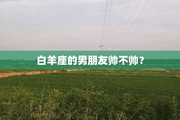 白羊座的男朋友帅不帅？